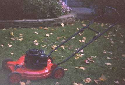 This is a picture of my lawnmower